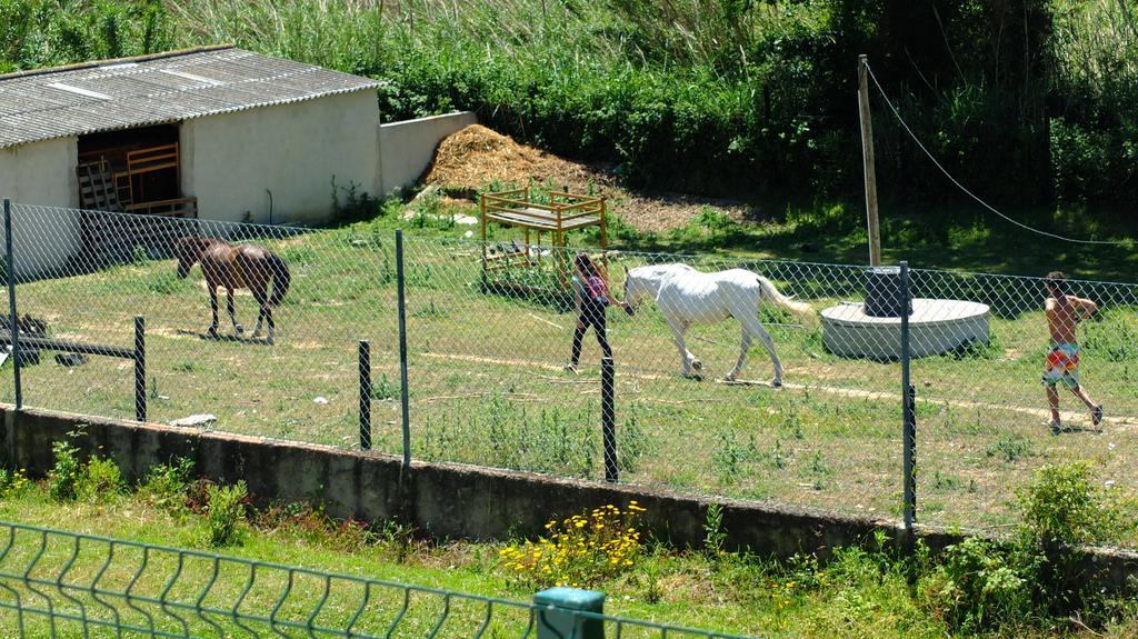 Quinta Do Forno Konuk evi Maçeira Dış mekan fotoğraf