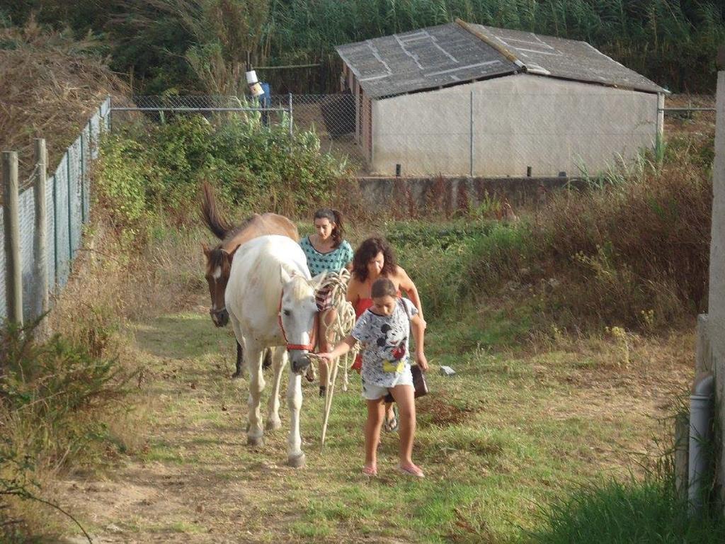 Quinta Do Forno Konuk evi Maçeira Dış mekan fotoğraf